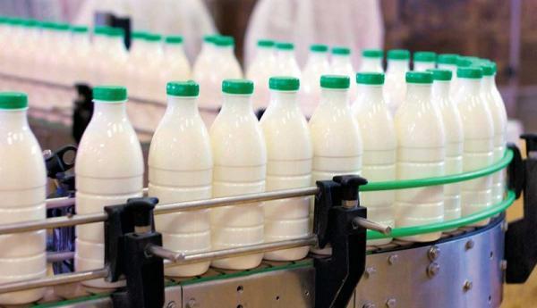 با حذف ارز قیمت هر کیلو شیر 13 هزار تومان می گردد!