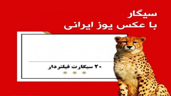 مخالف درج عکس یوز ایرانی روی پاکت سیگار هستیم